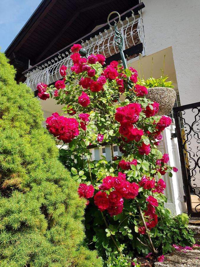 Aparthotel Pan Haus Bad Ischl Eksteriør billede